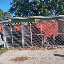 Dog Kennel 