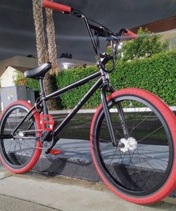 Cruiser Style BMX