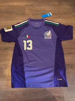 Mexico Away Purple Goalkeeper G. Ochoa #13 World Cup Jersey