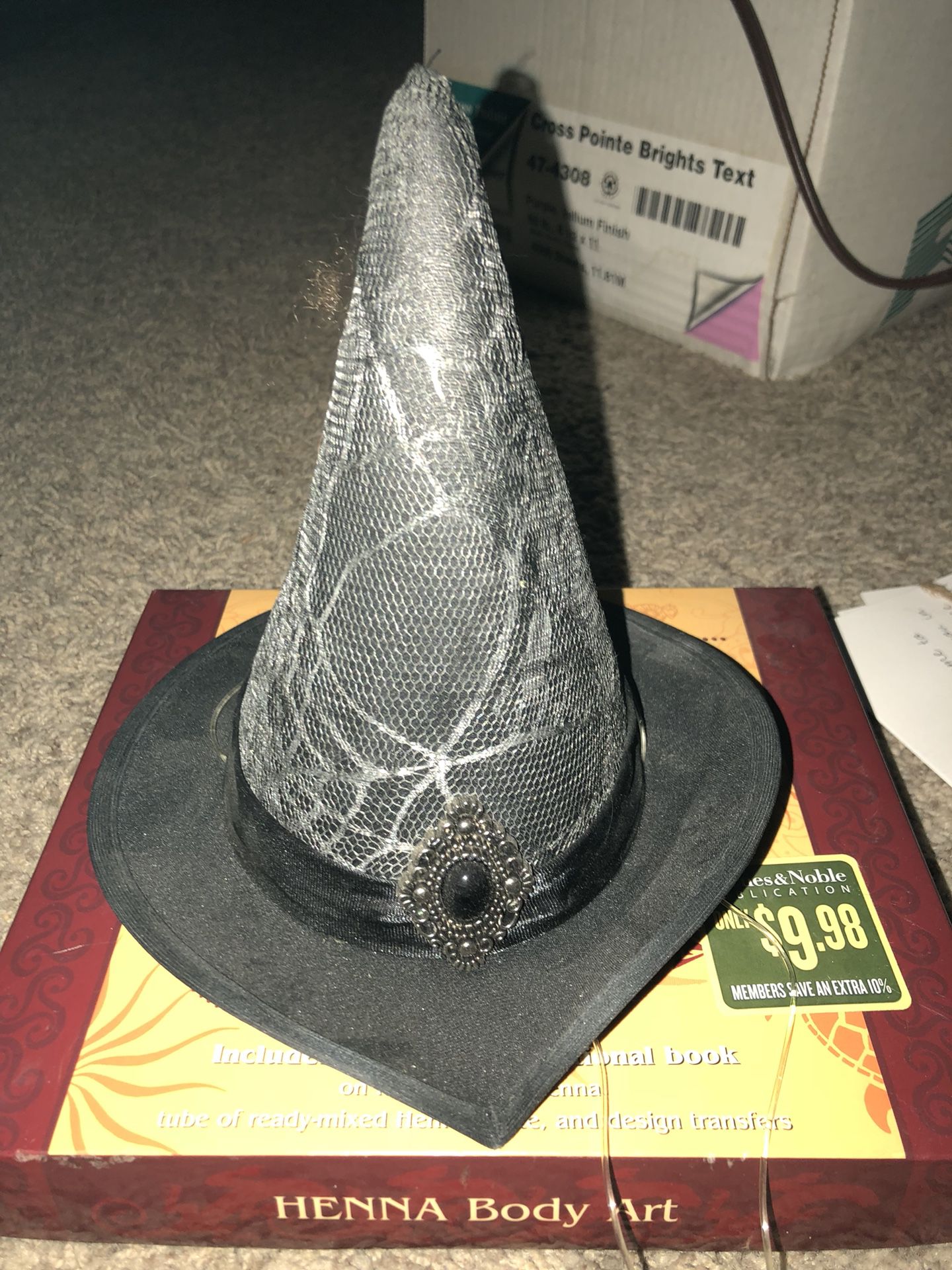 Pet Witches Hat