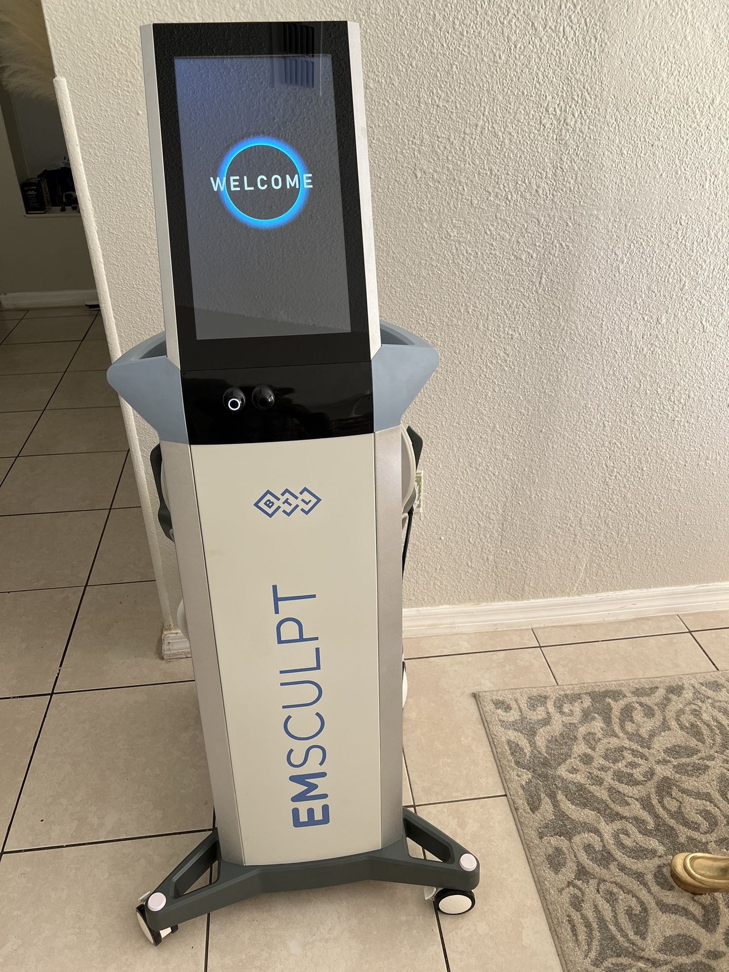 2023 BTL Emsculpt RF Body Contouring Machine + Case & Accessories (Like New)