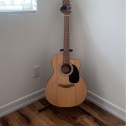 Laurel Canyon LA-100 Acoustic Guitar