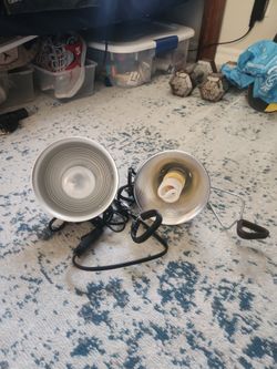 Heat Lamp Set