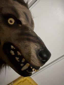 werewolf mask realistic 20 Bucks 
