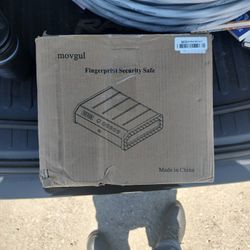Fingerprint Security  Safe