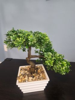 Faux Bonsai Tree – Zen Table Decor 🌿