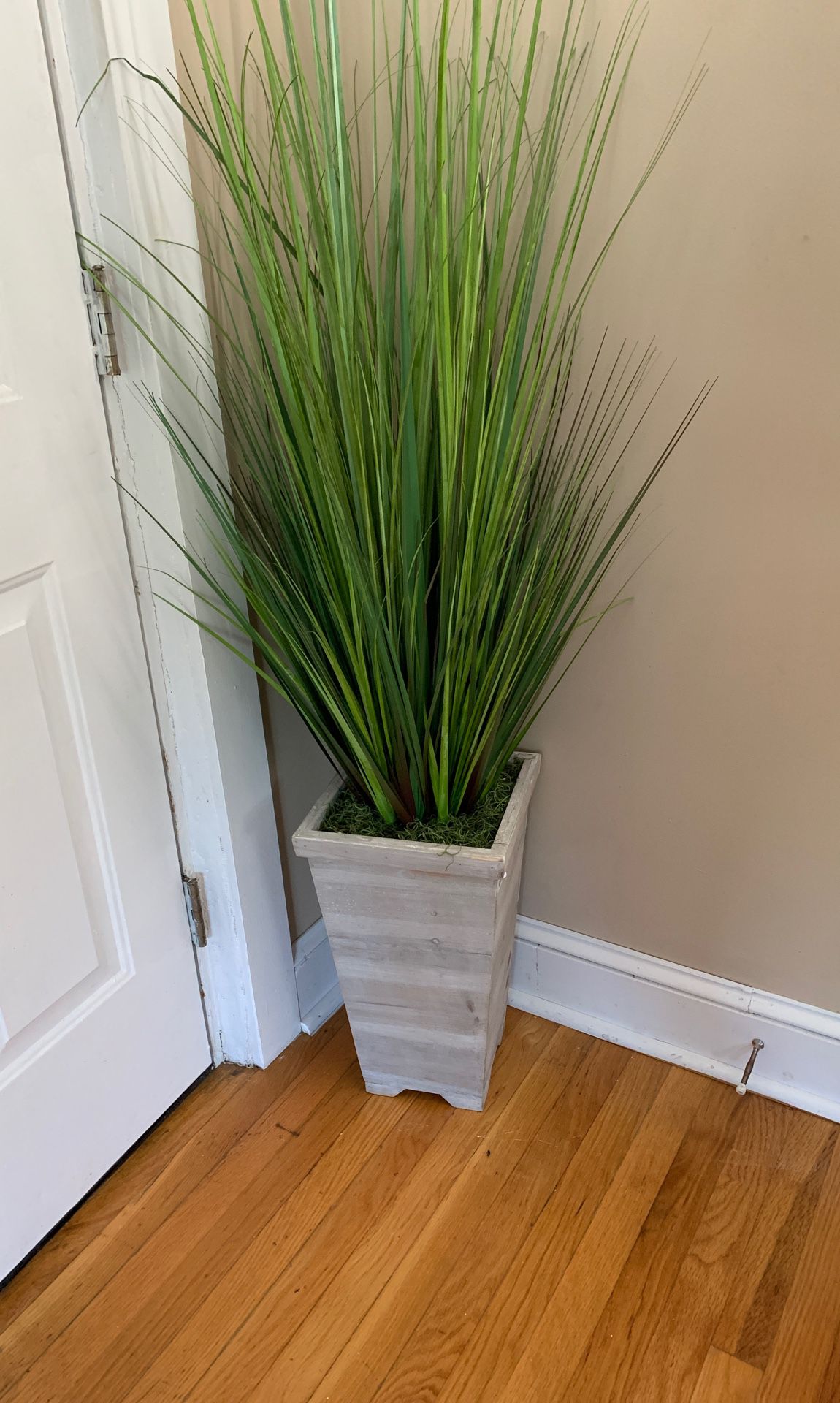 Artificial plant from homegoods $30
