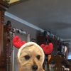 Alejandro