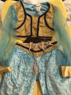 Jasmine Halloween costume