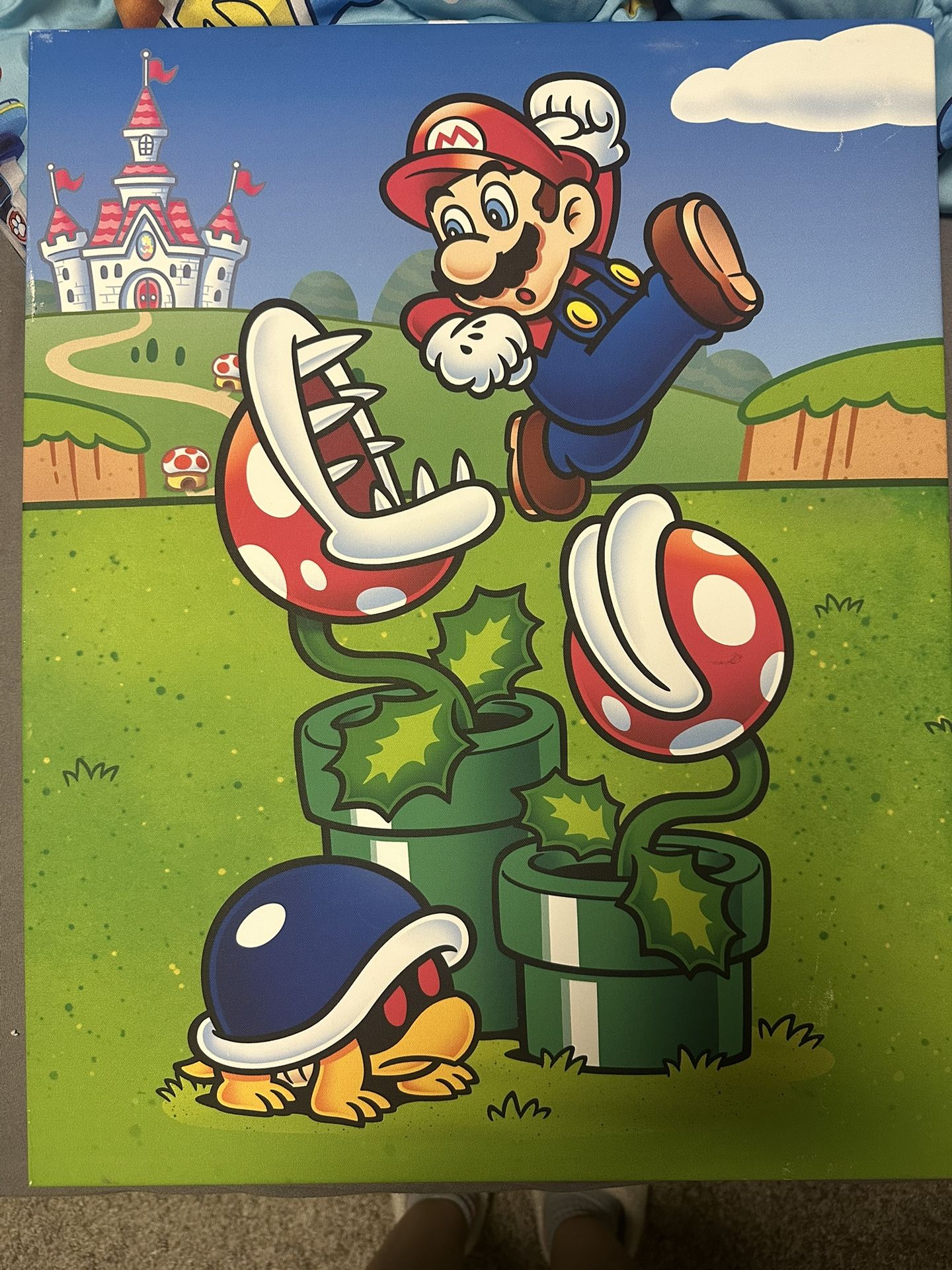 Mario picture frame