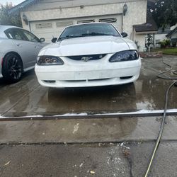 Halogen Smoked Headlights 1(contact info removed) Mustang 