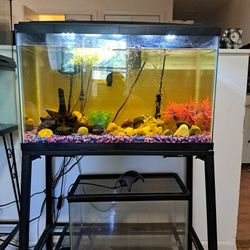 20-29 Gallon High Fish Tank