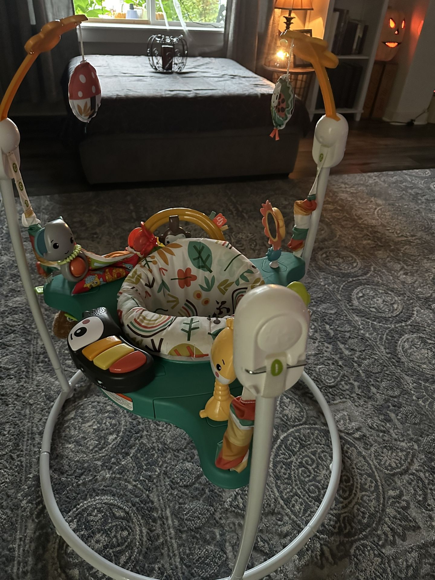 Brand New Baby Jumperoo