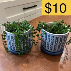 Pair of Faux String of Nickels Artificial Plants in Matching 5" Ceramic Planters (SELLING FOR $10)