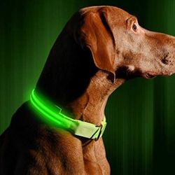 USB Rechargeable LED Dog Collar Night Safety Flashing Glow Pet Dog Cat Collar With Usb Cable Charging Dogs Accessory