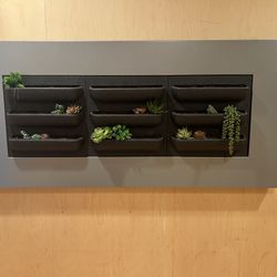 Living Self-Watering Plant Wall