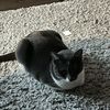Kali
