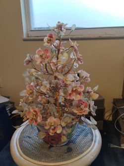 Shells and scales plant