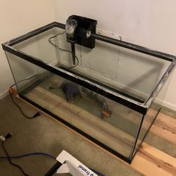 Aquarium 40 Gallon Breeder Kit