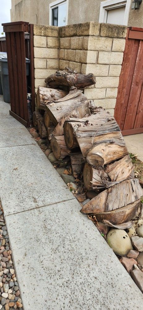 Eucalyptus Wood