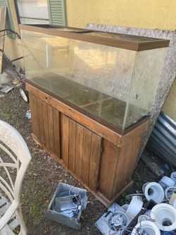Fish Tank