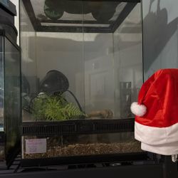 Zilla Open Front Enclosure 