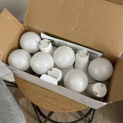 A19 800 Lumens LED Daylight Bulbs (10 Pack)