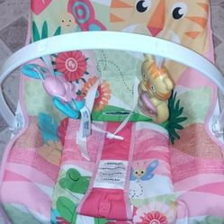 Baby Rocker