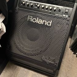 Roland PM-30