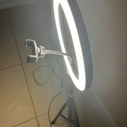 Selling Small LED Light Stand