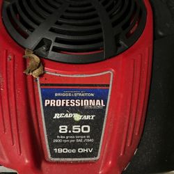 Brings & Stratton pressure Cleaner