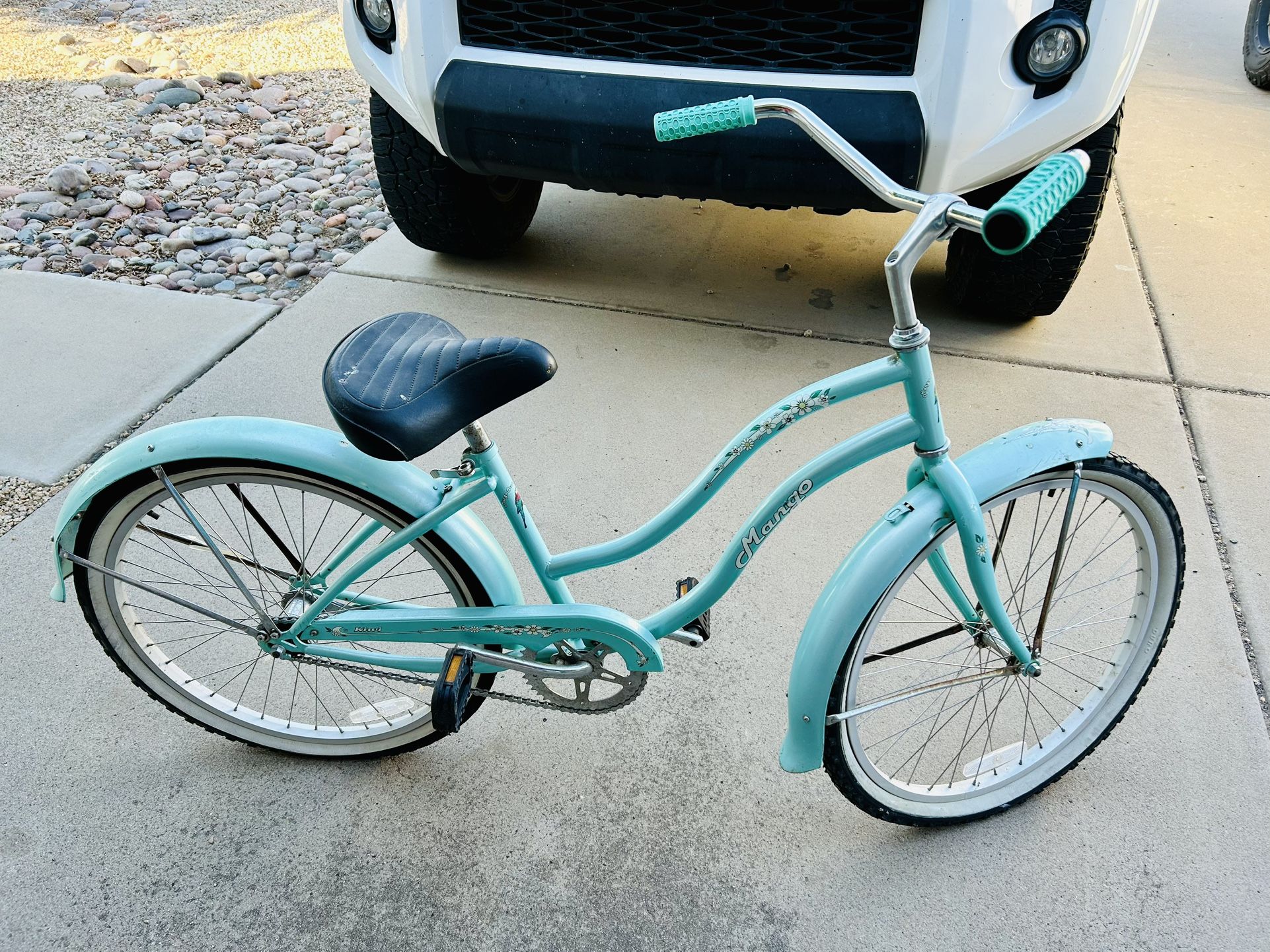 24” Mango Parrot Beach Cruiser Bike