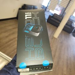 Go Pro Hero Black 11