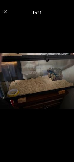 20 gallon tank with lid