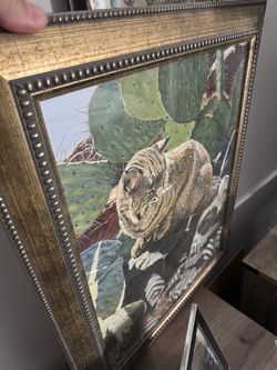Cat animal picture framed art
