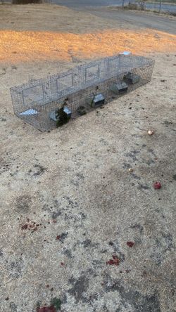Rabbit Cages Or Animal Cages 