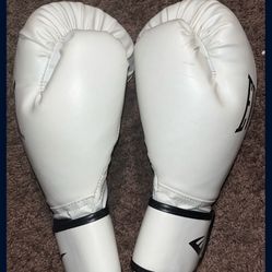 Everlast Boxing Gloves