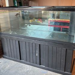 Fish Tank