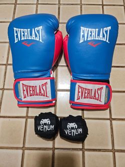 16oz Everlast powerlock training gloves
