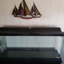 55 Gallon Aquarium with dual hood lights.