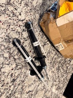 2000-2003 Nissan Maxima Rear Struts Shocks Pair