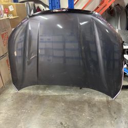 2019 - 2025 Subaru Forester Hood 