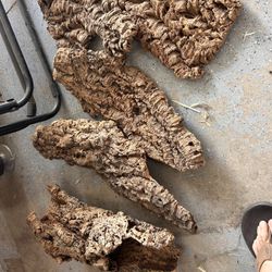 Cork Wood For Decoration Or Reptiles 