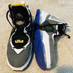 Lebron 19s Graduate