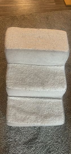 Pet Stairs In Good Conditions 