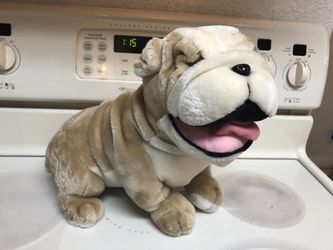 Adorable French Bulldog