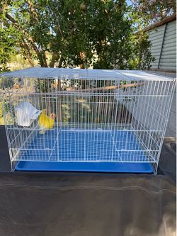 Birds  cage