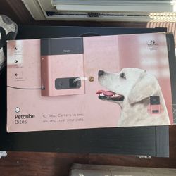 Pet Cube Bites Rose Gold Color