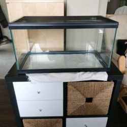 Pet Tank With Lid