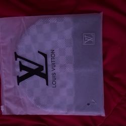Louis Vuitton Beanie Gray 